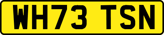 WH73TSN