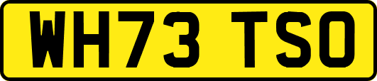 WH73TSO