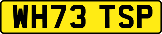 WH73TSP
