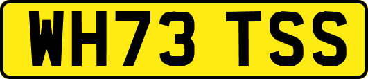 WH73TSS