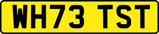 WH73TST