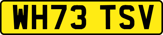 WH73TSV