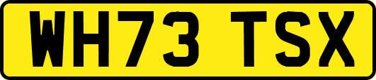 WH73TSX