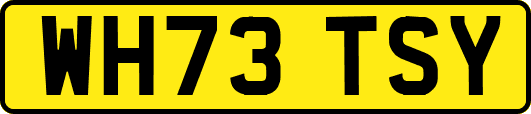 WH73TSY