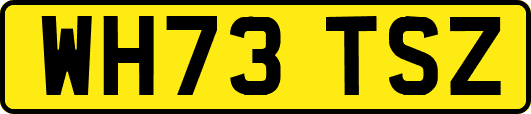 WH73TSZ
