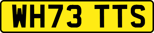 WH73TTS