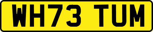 WH73TUM