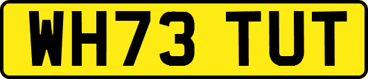 WH73TUT