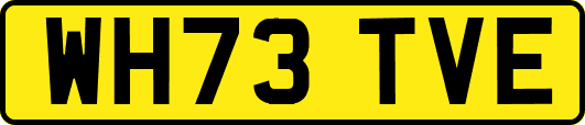WH73TVE