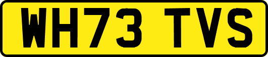 WH73TVS