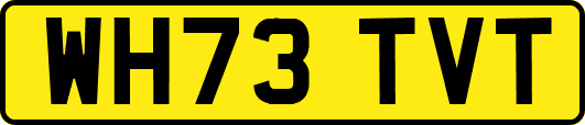 WH73TVT