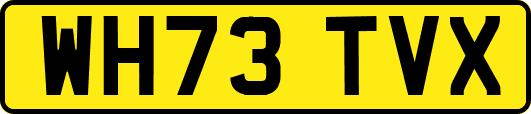 WH73TVX