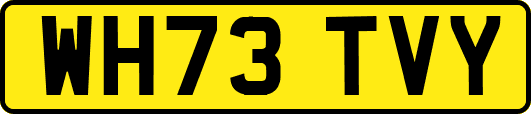 WH73TVY