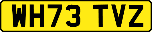 WH73TVZ
