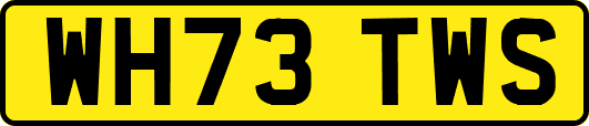 WH73TWS