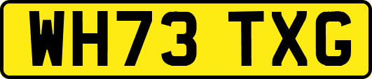 WH73TXG