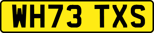 WH73TXS