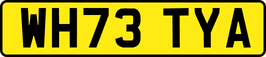 WH73TYA