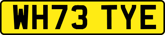 WH73TYE