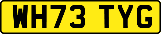 WH73TYG