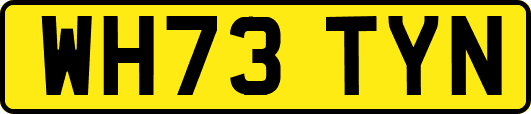 WH73TYN