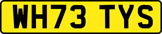 WH73TYS