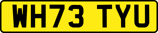 WH73TYU