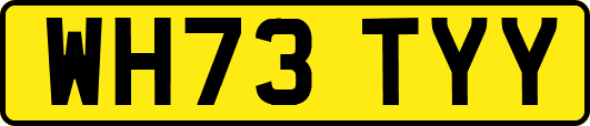 WH73TYY