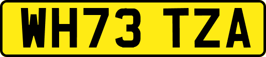 WH73TZA