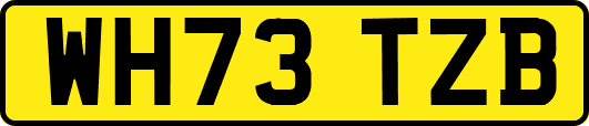 WH73TZB