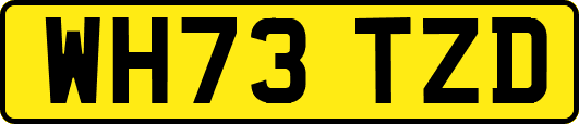 WH73TZD