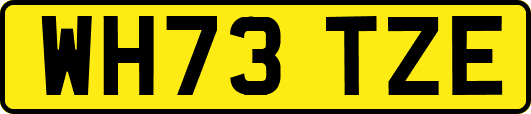 WH73TZE