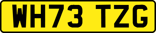 WH73TZG