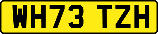 WH73TZH