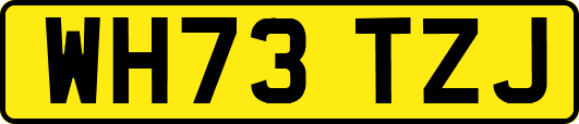 WH73TZJ