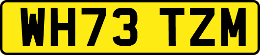 WH73TZM