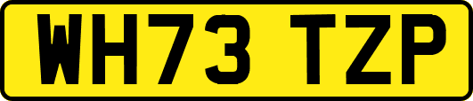 WH73TZP