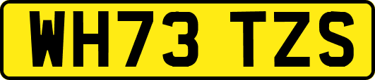 WH73TZS