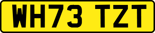 WH73TZT