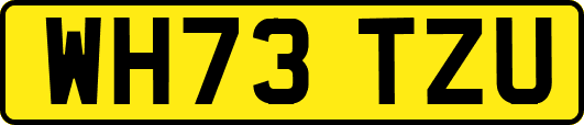 WH73TZU