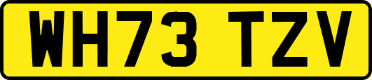 WH73TZV