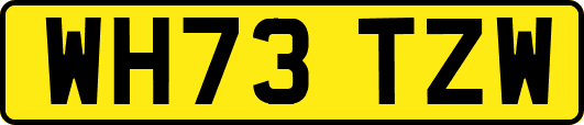 WH73TZW