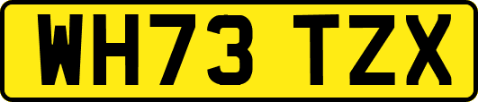 WH73TZX