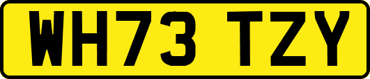WH73TZY