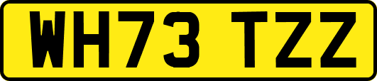 WH73TZZ
