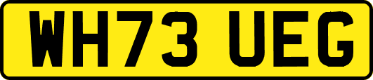WH73UEG