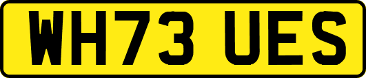 WH73UES