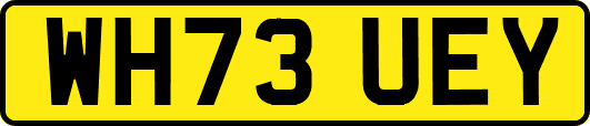 WH73UEY
