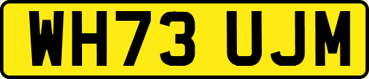 WH73UJM