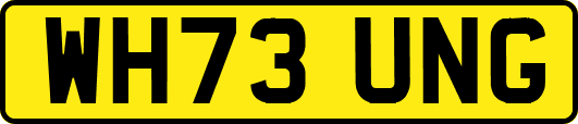 WH73UNG